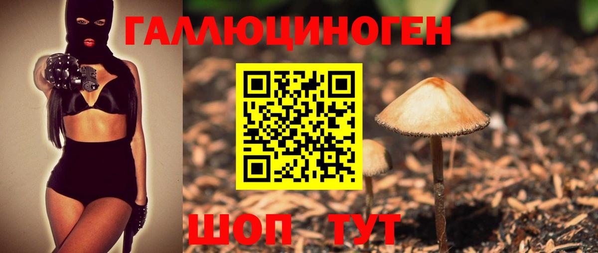 Среднеуральск  Псилоцибиновые грибы Psilocybe  Вход с VPN  Псилоцибиновые грибы Cubensis 